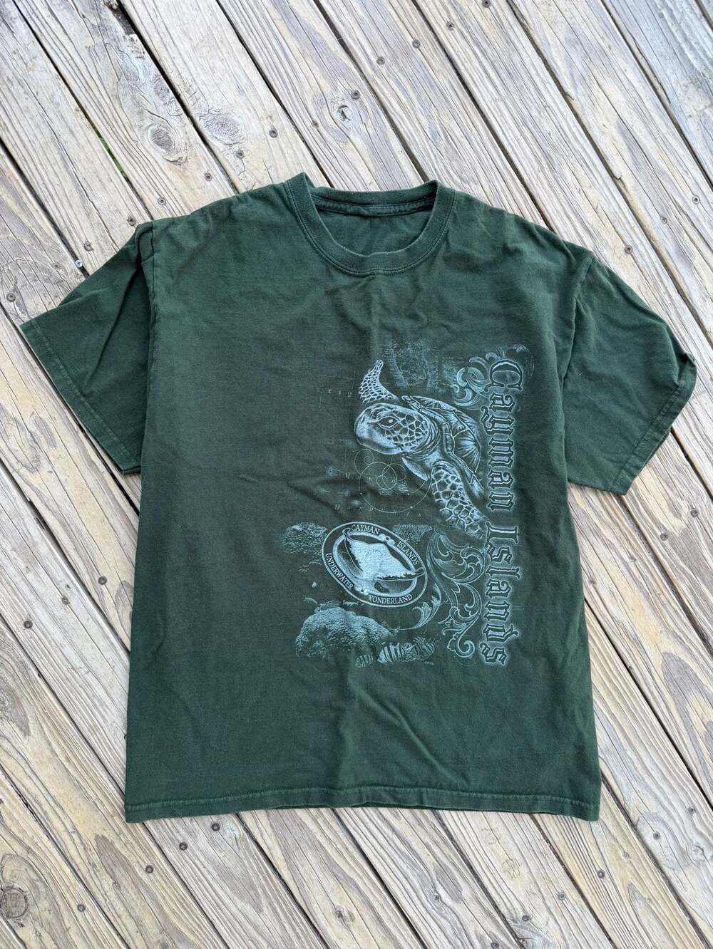 Cayman Islands Underwater Wonderland Sea Turtle Stingray Graphic T-Shirt Green S